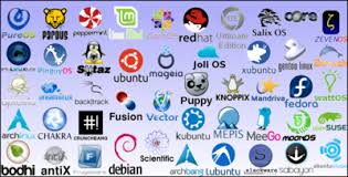 Distro Linux Terbaik Yang Paling Cocok untuk Pemula
