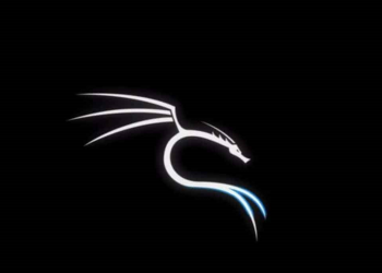 What You Need to Know About Kali Linux Tester