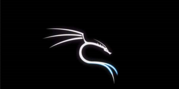 What You Need to Know About Kali Linux Tester