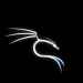 What You Need to Know About Kali Linux Tester